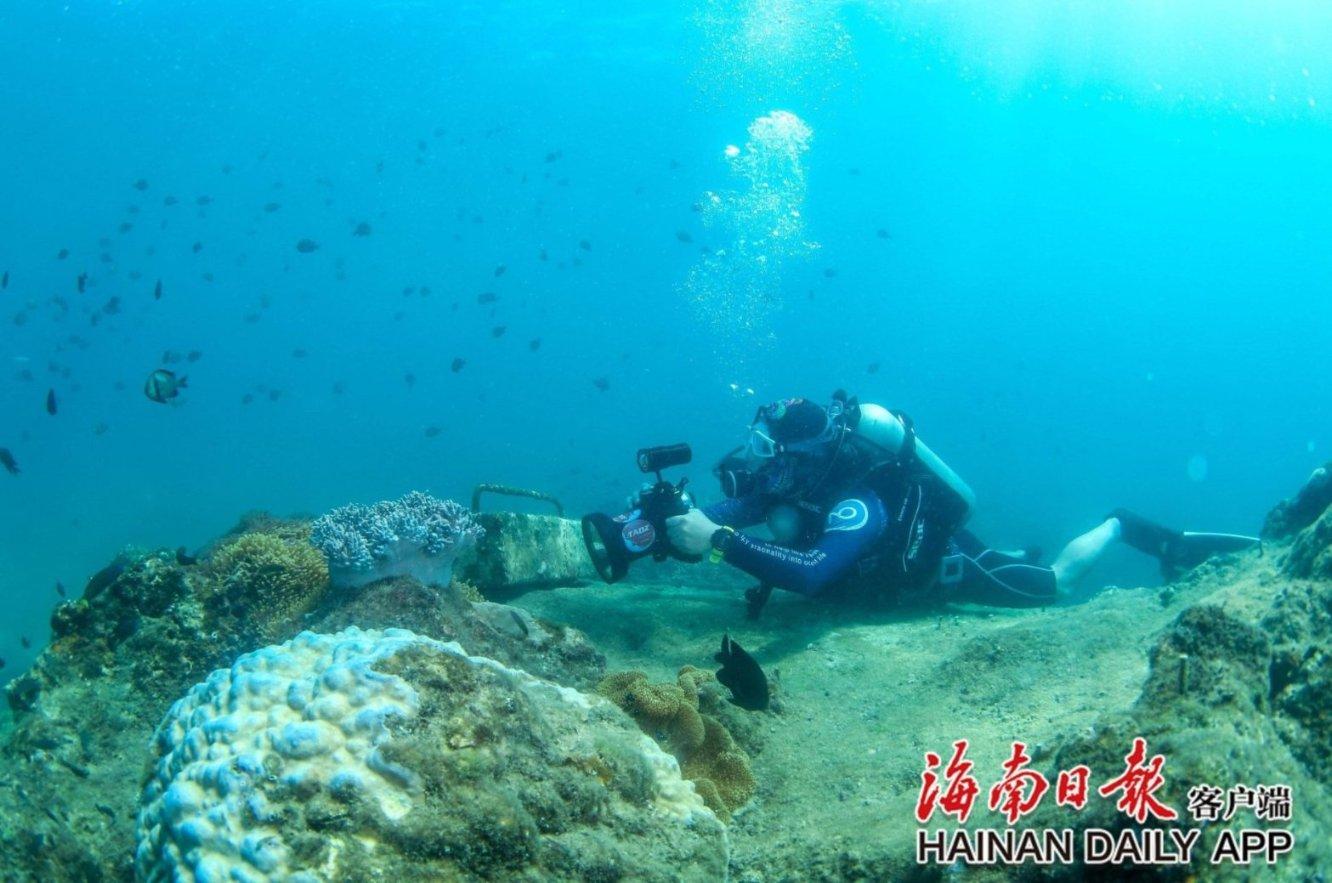 央视高口碑历史大剧!豆瓣清一色四五星好评
