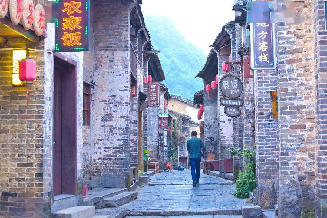 村民清早偶遇呆萌羚牛还深情对视