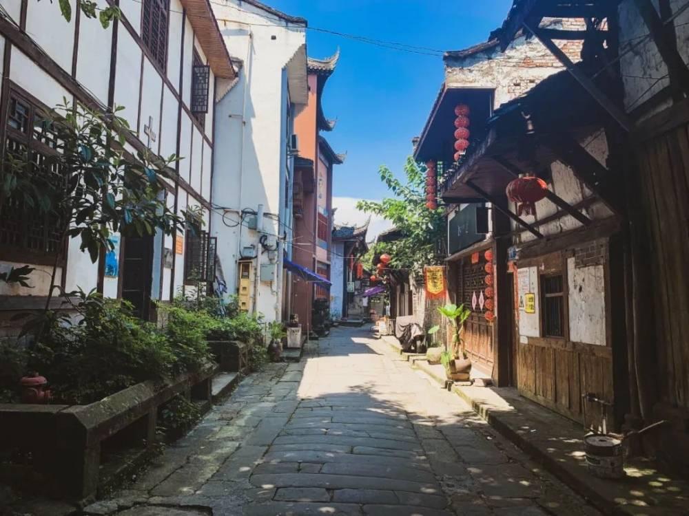 蜘蛛森林逃生